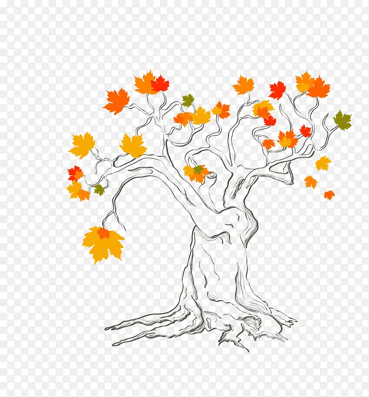 �����ֻ��Ҷ-������