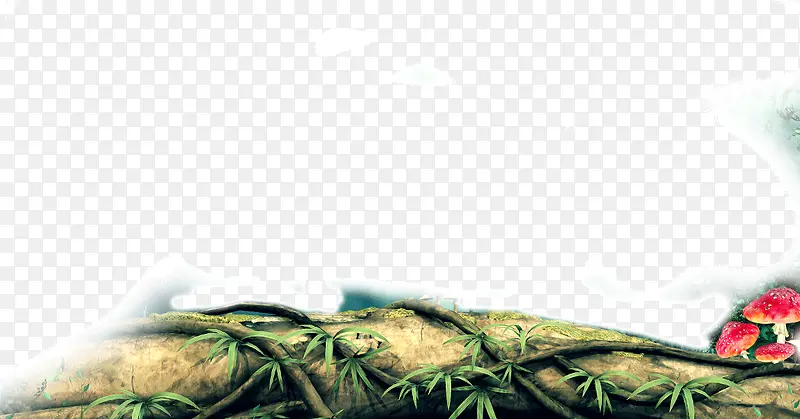 ����������֦-������