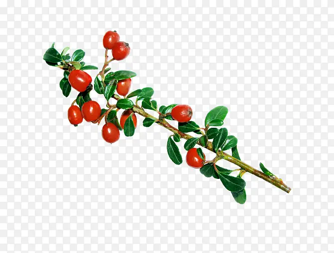 ��ɫˮ��-������