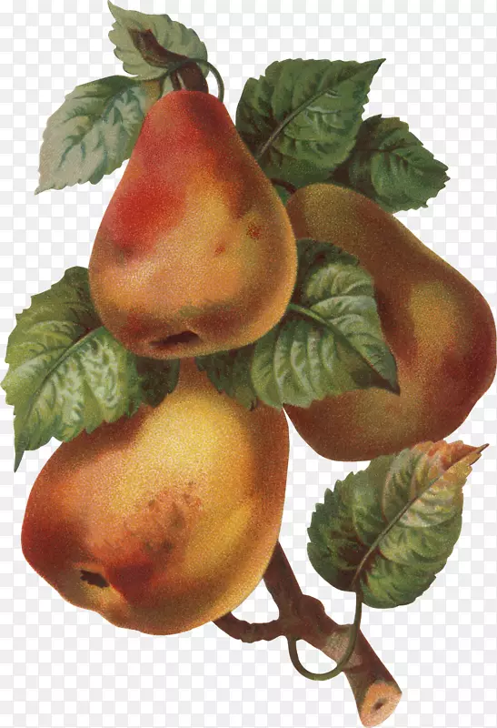 ����Ӱ������-��-������