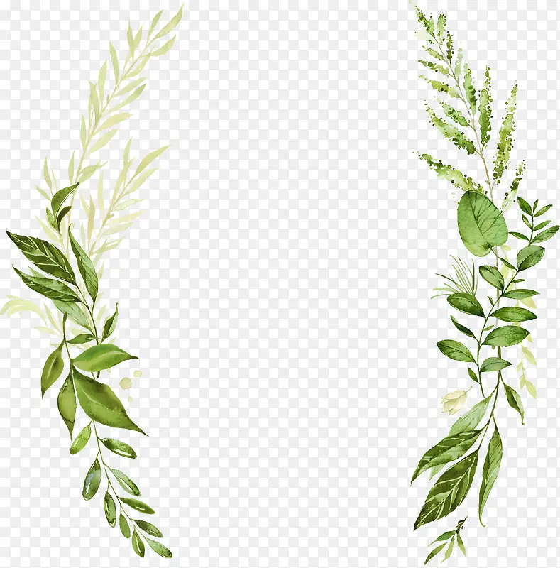 ��Լ��ֲ��ˮ�ʱ߿�-������