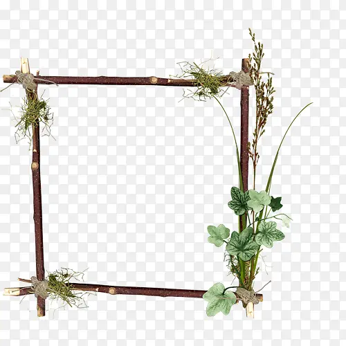 ��֦�߿����-������