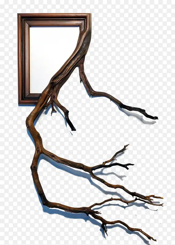 ��֦���-������