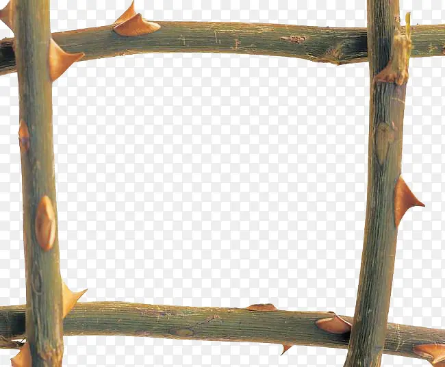 ����߿�-������