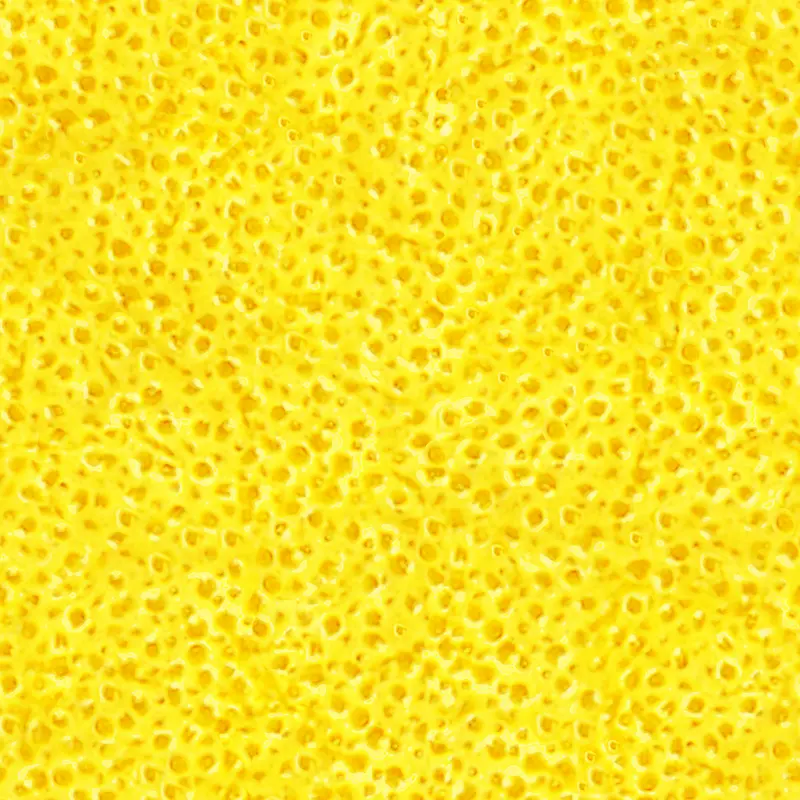 ���ұ���-������