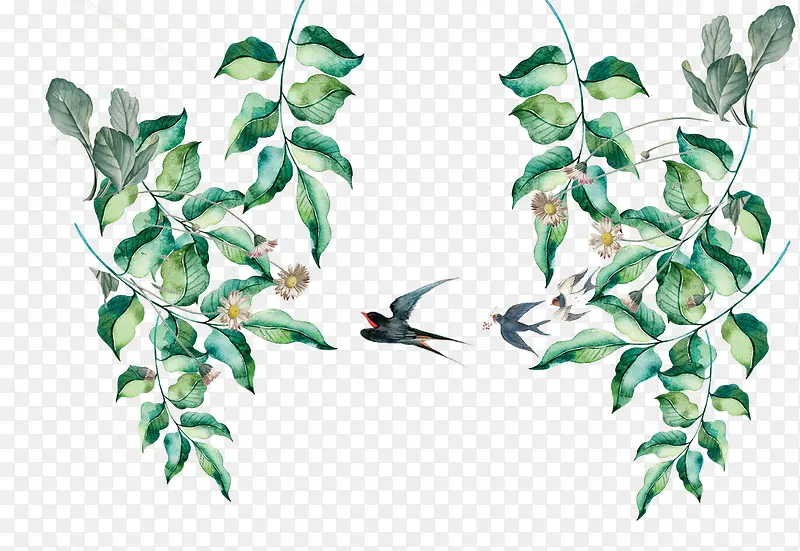 װ����֦�������ͼƬ-������