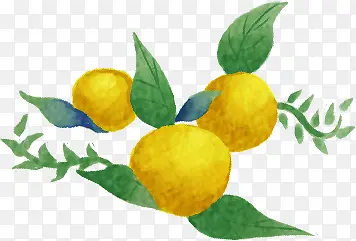 �����ɫˮ������-������