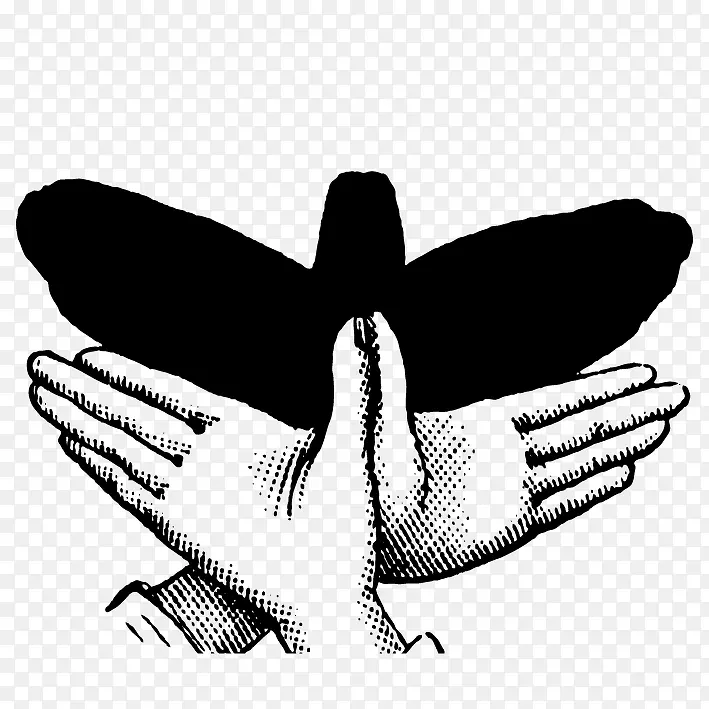 ��Ӱ����-������