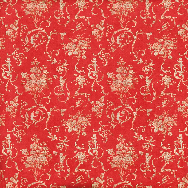 �����Ʊ���-������