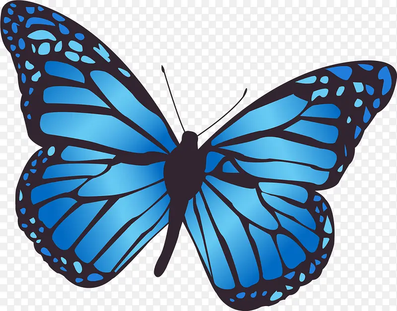 Ψ����ɫ����-������