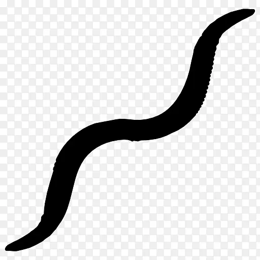 ����Ӱ-������