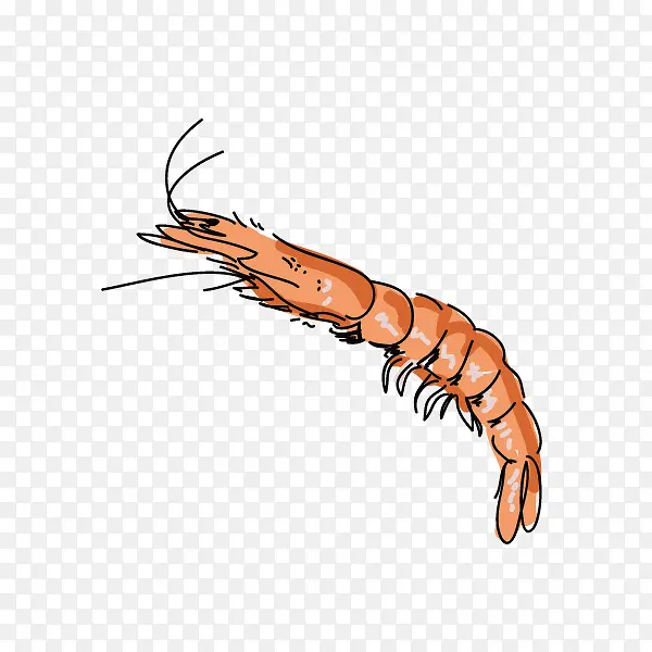 ��ͨ�ֻ溣��Ϻʳ��-������