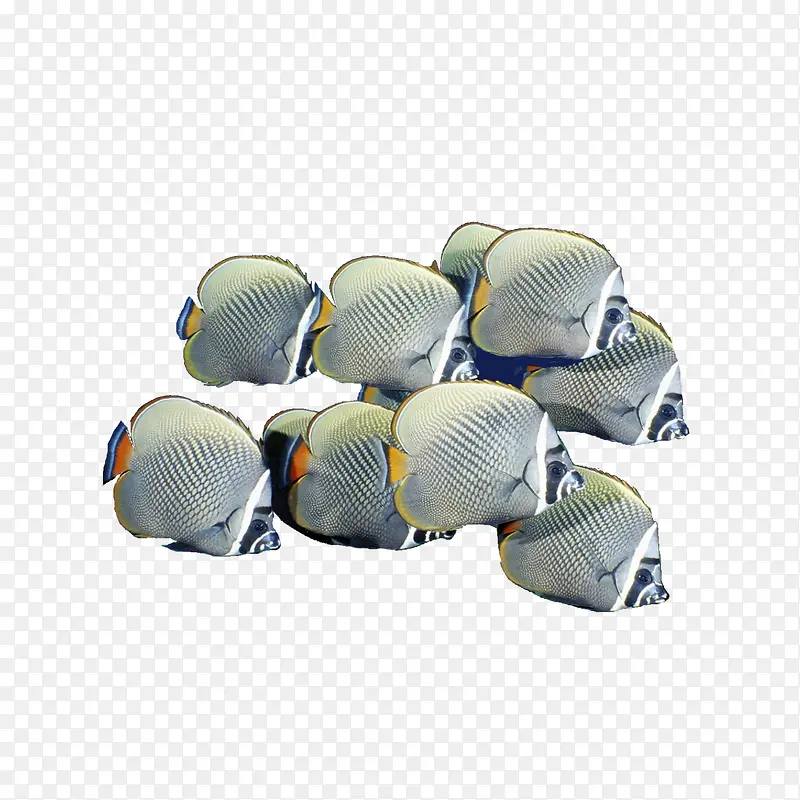 ��Ⱥ����ͼƬ-������