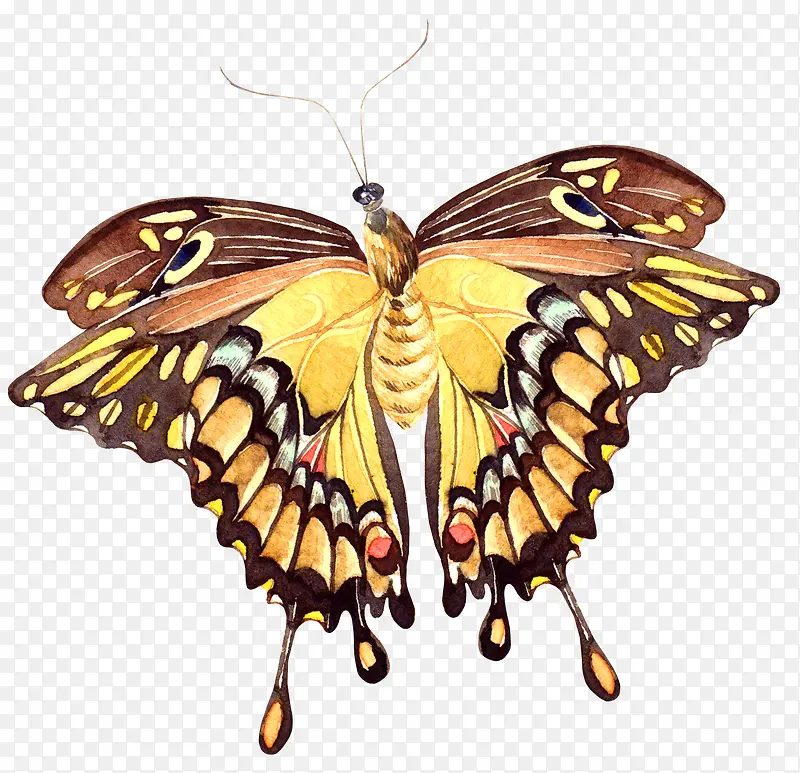 �ֻ�Ψ��Ư������-������