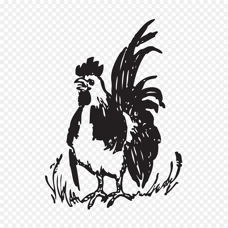 ���趯��-������