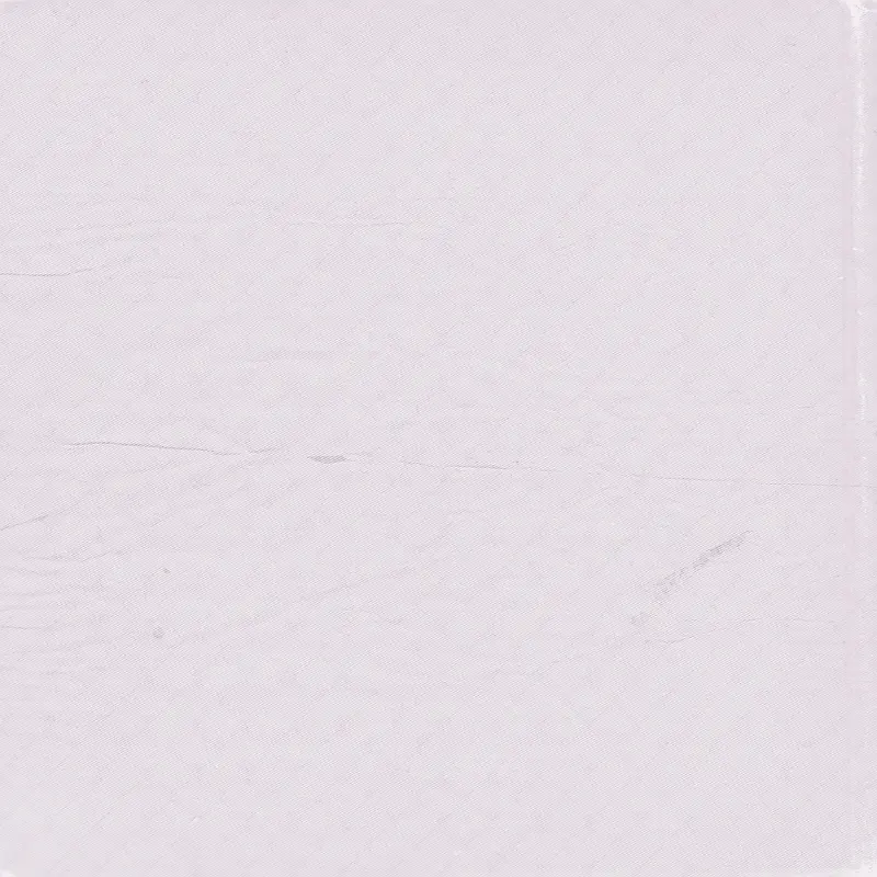 ��ֽ��������-������