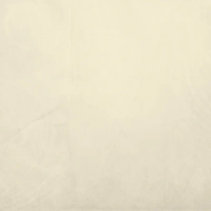 ��ֽ��������-������