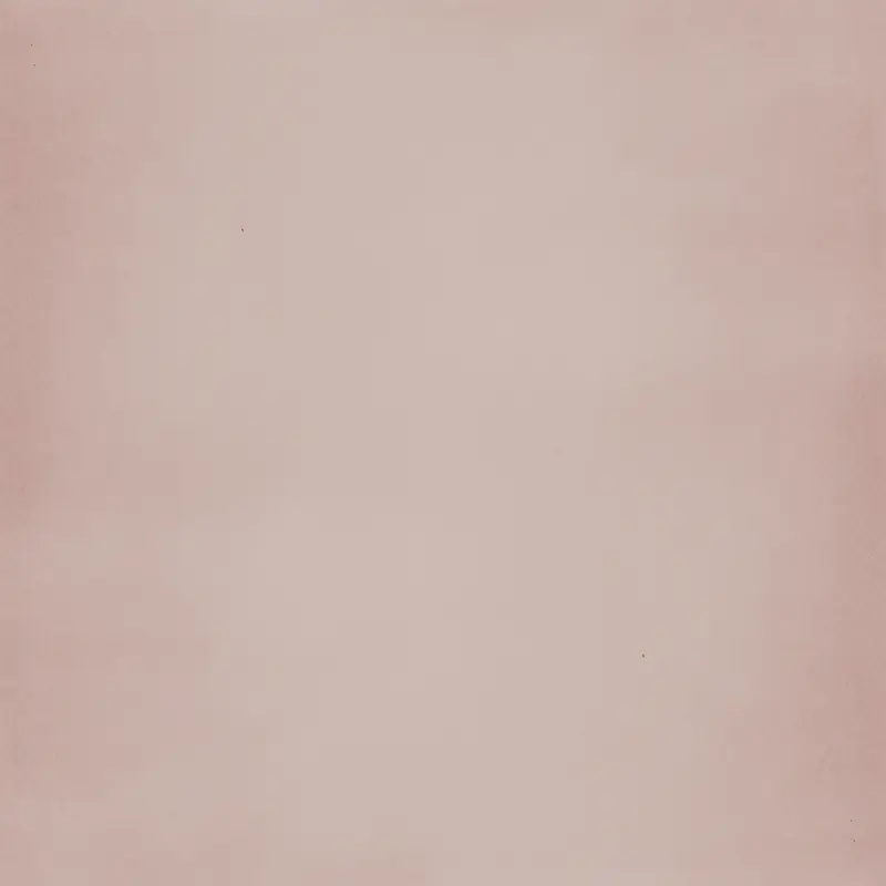 ����ֽ�ű���-������