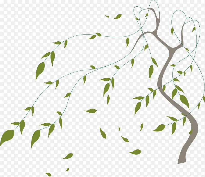 ��֦��Ҷ����羰ֲ���ͼ-������