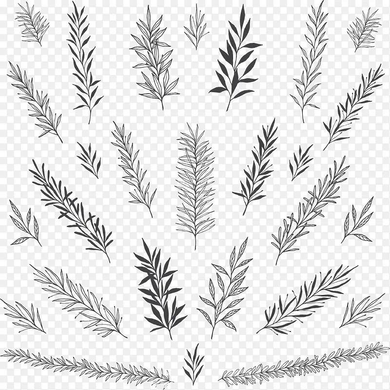 �����ֻ���֦����-������