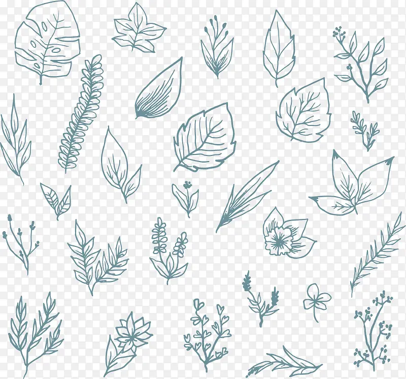 �ֻ�С������Ҷ����-������