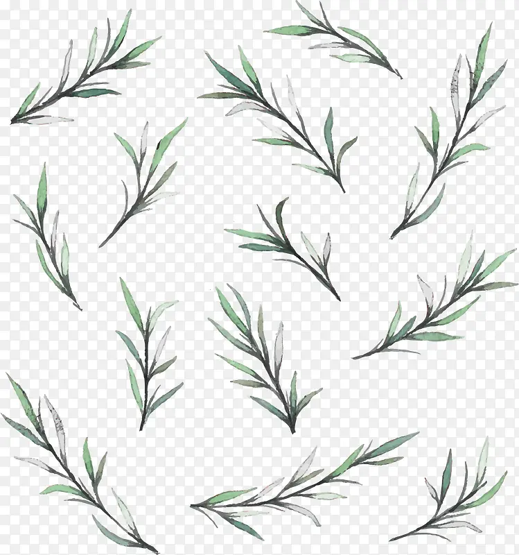 С������֦����-������