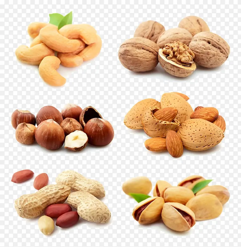 ���ʳ��-������