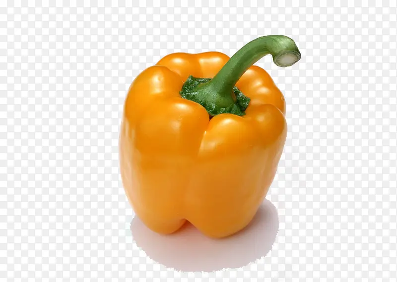 ˮ���ز��ֻ�ʳ���ز�-������