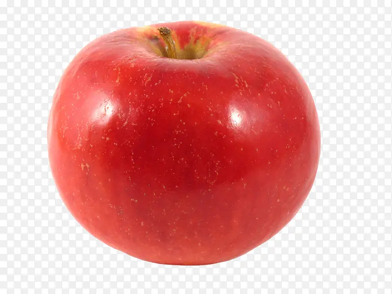 ˮ��ʸ��ͼ�ֻ�ʳ��-������