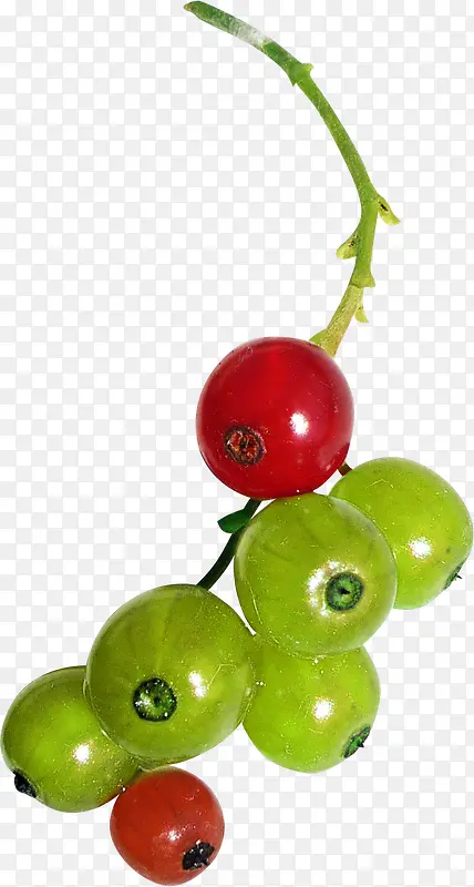 ʳ��ͼ���ֻ�ʳ��ͼƬ-������