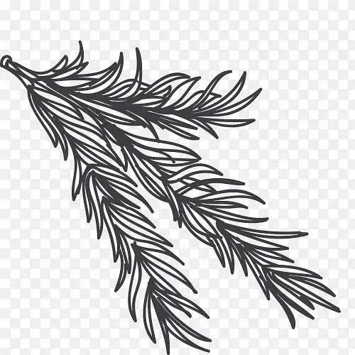 ����ʳ�� ŷ��ʳƷ �ڰ���д -������