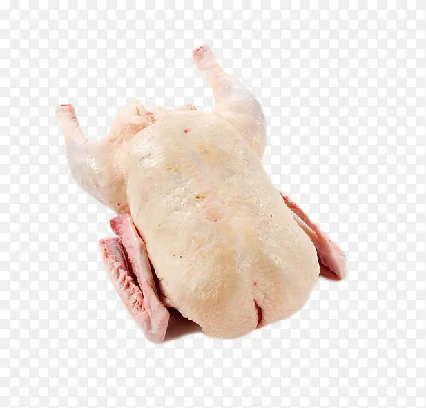 ���Ķ����ز�ͼƬ-������