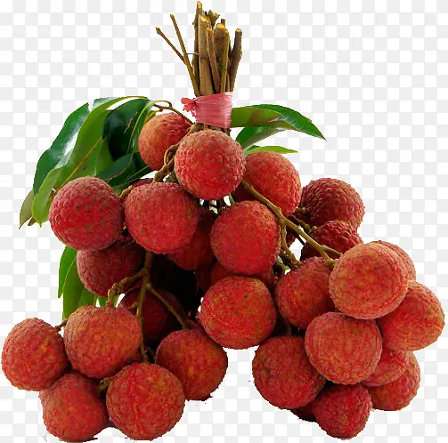 ˮ����֦-������