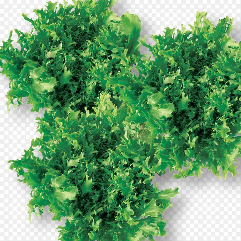 �߲�ͼƬ-������