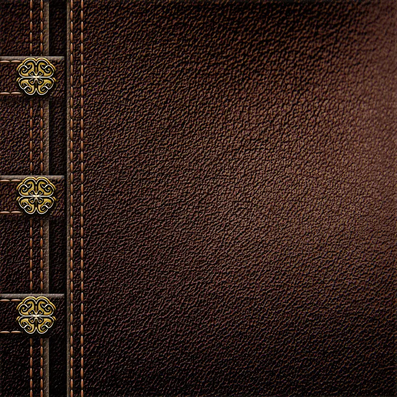 ��ɫƤ�ﱳ��-������