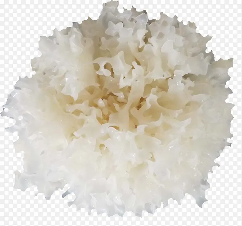 �߲�������-������