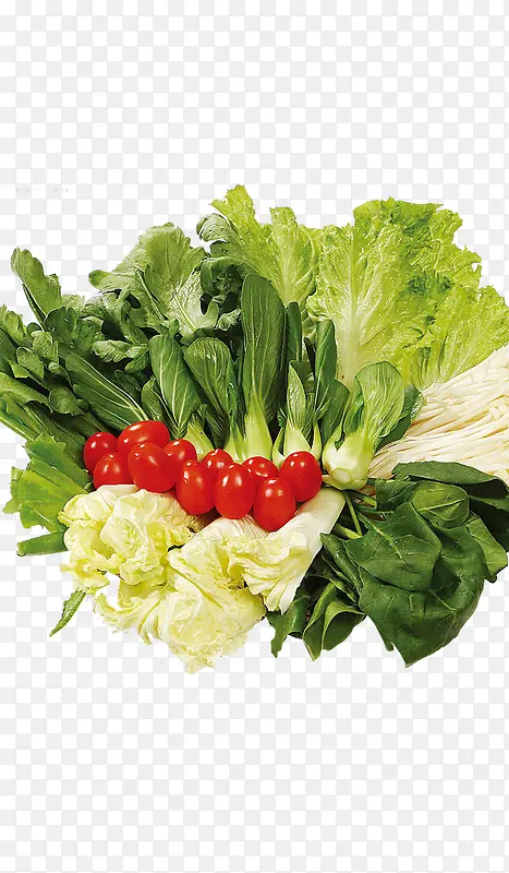 �ḻ��ʳ���߲�-������