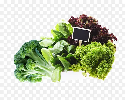 �߲�-������