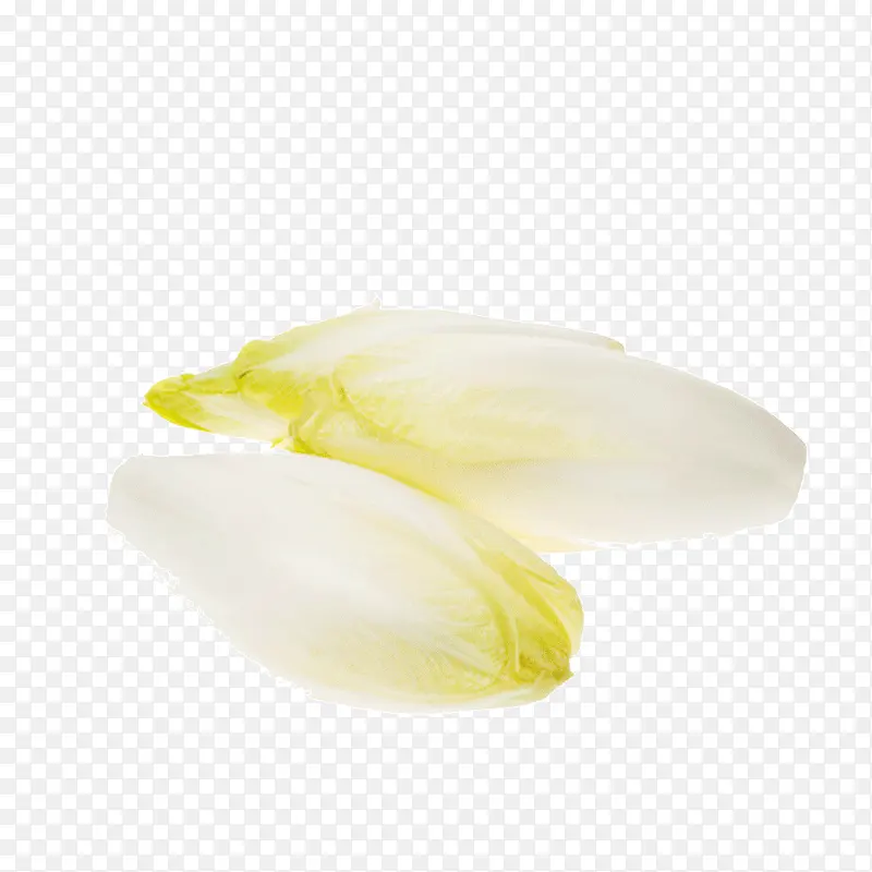 ��ײ�ͼƬ�ز�-������