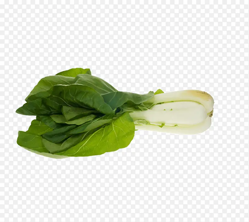 ��ײ�ͼƬ-������