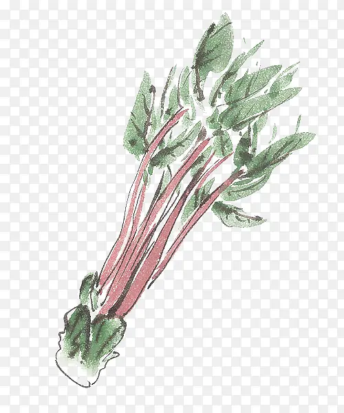 �ֻ��̦-������