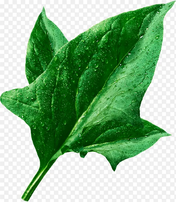 �����ˮ����߲�-������