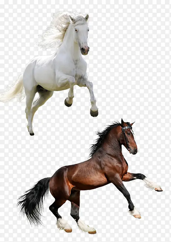 �����ز�-������