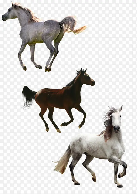 ��ƥ�ز�-������