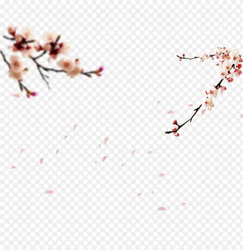 ÷����Ҷ�ز�-������