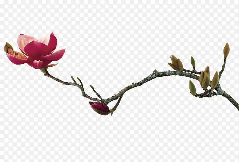 ����֮��-������