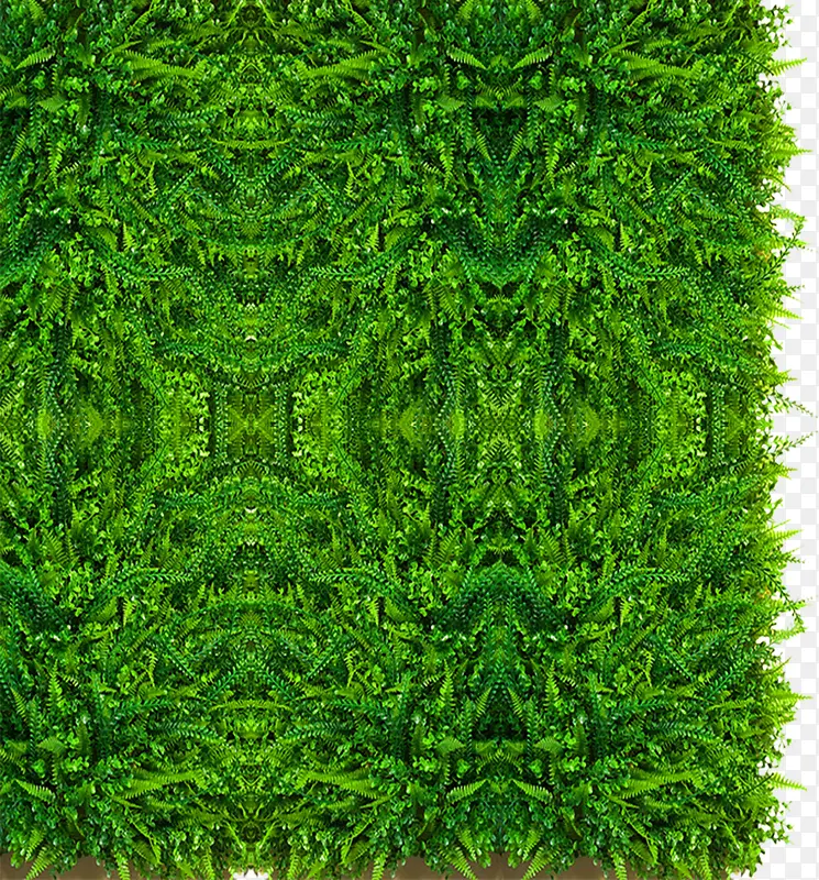 ��ɫɭ�����»���ʱ��-������