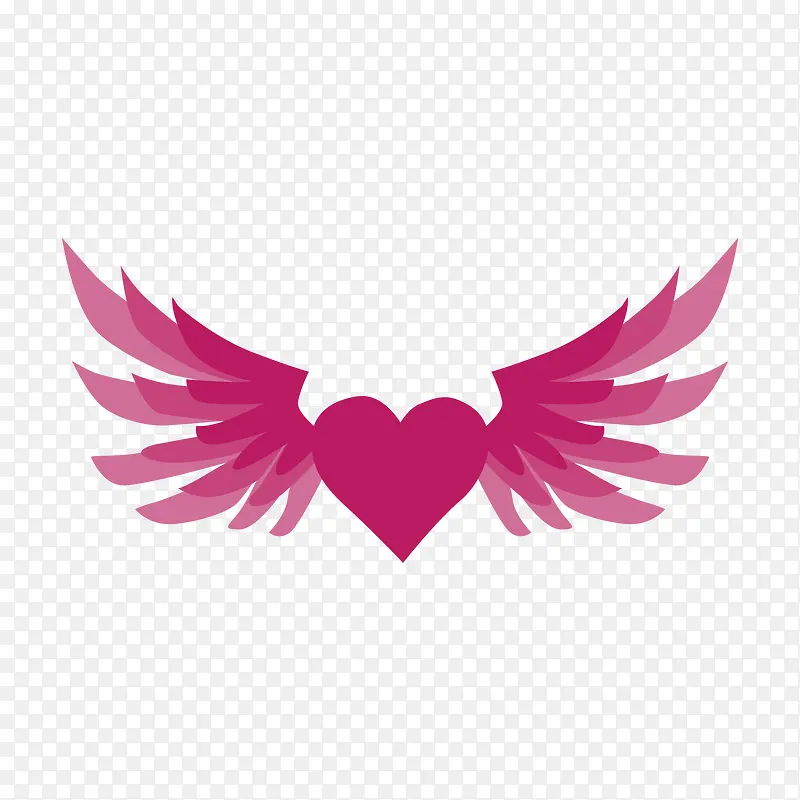 �����ĺ���-������