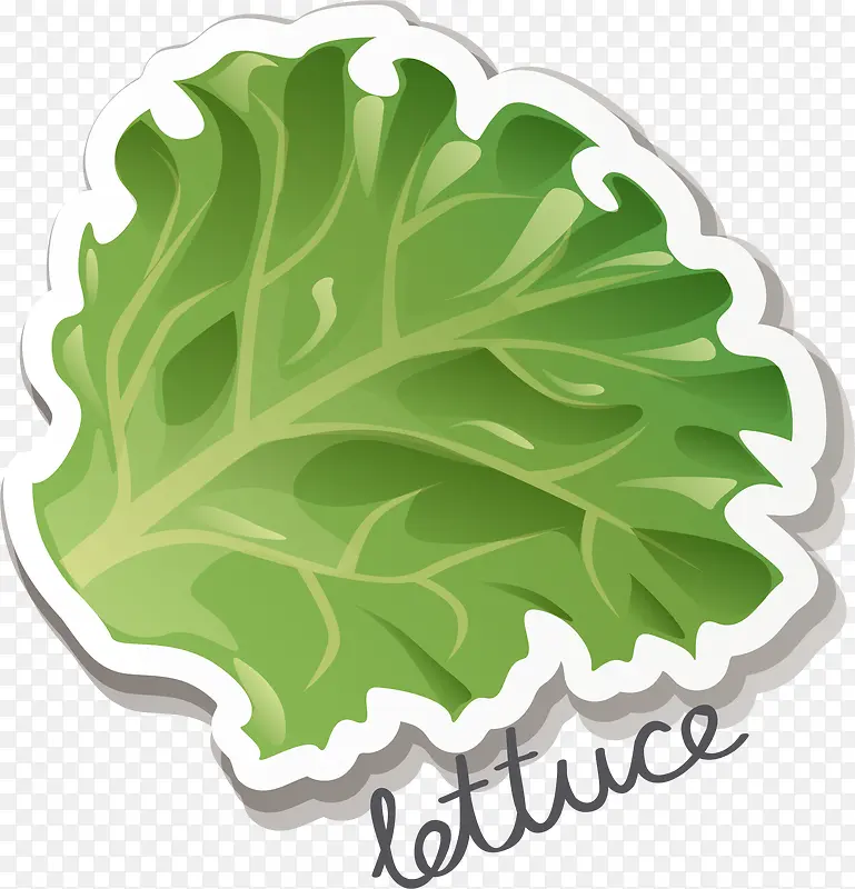 �����߲�����Ҷ-������