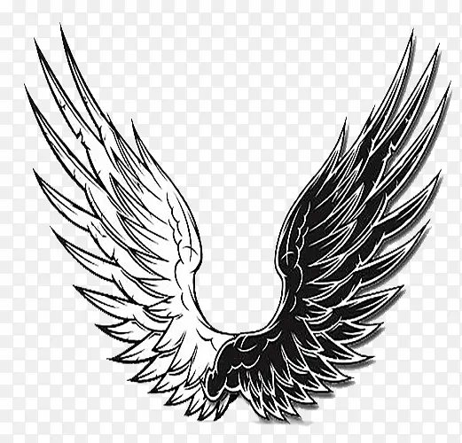 �ڰ׳��-������